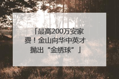 最高200万安家费！金山向华中英才抛出“金绣球”
