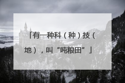 有一种科（种）技（地），叫“吨粮田”