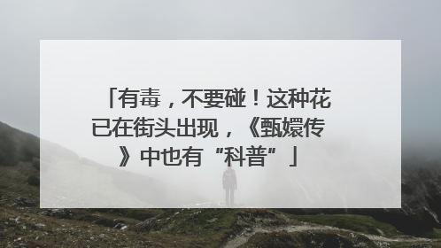 有毒，不要碰！这种花已在街头出现，《甄嬛传》中也有“科普”