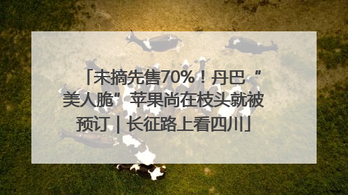 未摘先售70%！丹巴“美人脆”苹果尚在枝头就被预订｜长征路上看四川