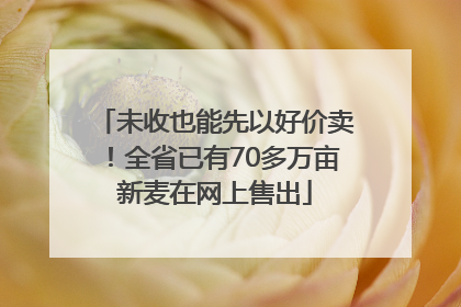 未收也能先以好价卖！全省已有70多万亩新麦在网上售出