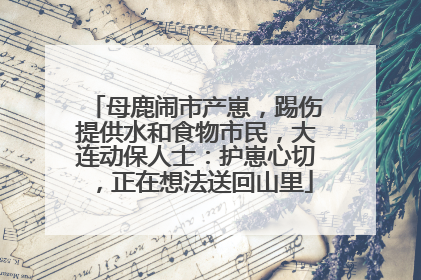 母鹿闹市产崽，踢伤提供水和食物市民，大连动保人士：护崽心切，正在想法送回山里
