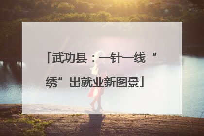 武功县：一针一线“绣”出就业新图景