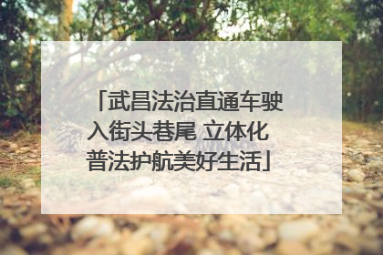 武昌法治直通车驶入街头巷尾 立体化普法护航美好生活