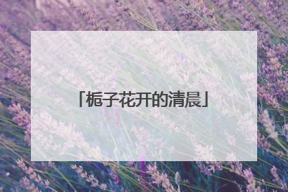 栀子花开的清晨