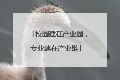 校园建在产业园，专业建在产业链