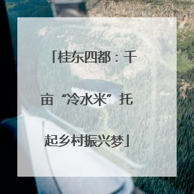 桂东四都：千亩“冷水米”托起乡村振兴梦