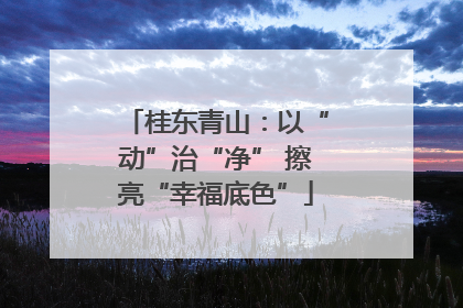 桂东青山：以“动”治“净” 擦亮“幸福底色”