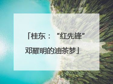 桂东：“红先锋”邓耀明的油茶梦