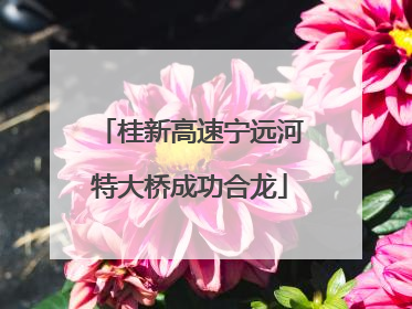 桂新高速宁远河特大桥成功合龙