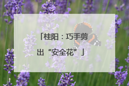 桂阳：巧手剪出“安全花”