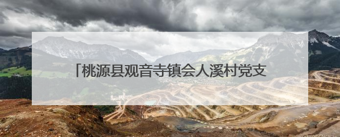 桃源县观音寺镇会人溪村党支部的“48小时”救援纪实