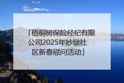 梧桐树保险经纪有限公司2025年妙墩社区新春慰问活动