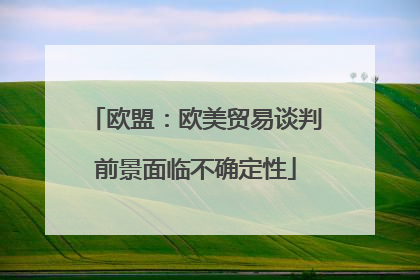 欧盟：欧美贸易谈判前景面临不确定性
