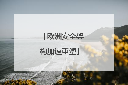 欧洲安全架构加速重塑