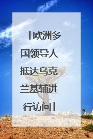 欧洲多国领导人抵达乌克兰基辅进行访问