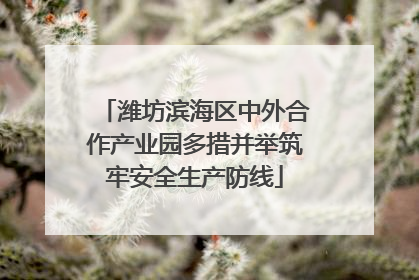 潍坊滨海区中外合作产业园多措并举筑牢安全生产防线
