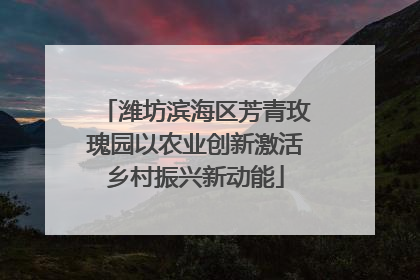 潍坊滨海区芳青玫瑰园以农业创新激活乡村振兴新动能