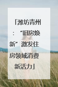 潍坊青州：“旧房焕新”激发住房领域消费新活力