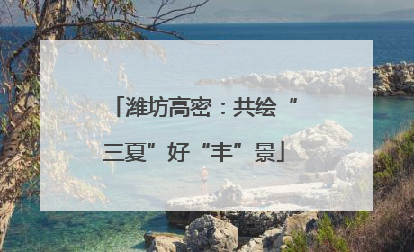 潍坊高密：共绘“三夏”好“丰”景