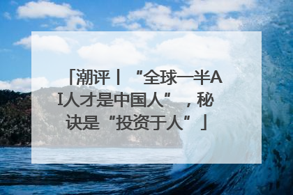 潮评丨“全球一半AI人才是中国人”，秘诀是“投资于人”