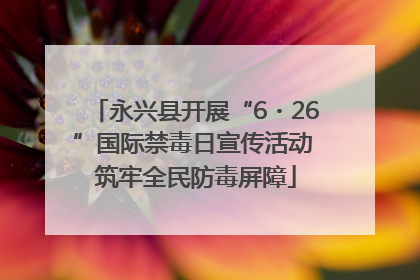 永兴县开展“6・26”国际禁毒日宣传活动 筑牢全民防毒屏障