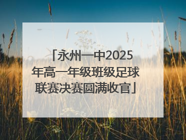 永州一中2025年高一年级班级足球联赛决赛圆满收官