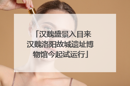 汉魏盛景入目来 汉魏洛阳故城遗址博物馆今起试运行