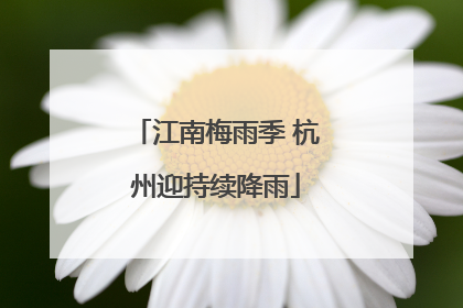 江南梅雨季 杭州迎持续降雨