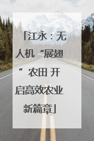 江永：无人机“展翅”农田 开启高效农业新篇章