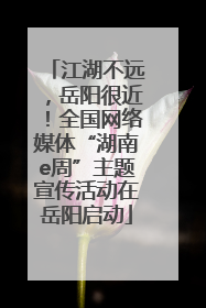 江湖不远，岳阳很近！全国网络媒体“湖南e周”主题宣传活动在岳阳启动