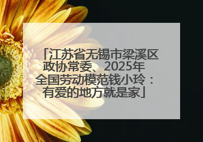 江苏省无锡市梁溪区政协常委、2025年全国劳动模范钱小玲：有爱的地方就是家