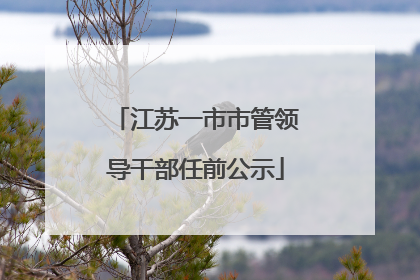 江苏一市市管领导干部任前公示