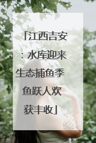 江西吉安：水库迎来生态捕鱼季 鱼跃人欢获丰收