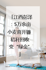江西彭泽：5万余亩小麦喜开镰 秸秆回收变“绿金”