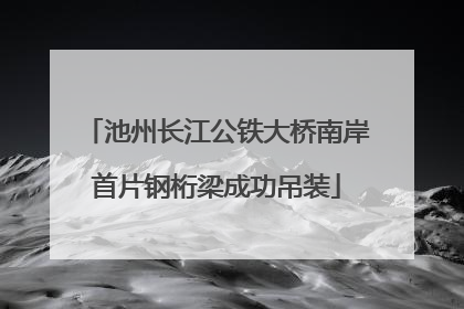 池州长江公铁大桥南岸首片钢桁梁成功吊装