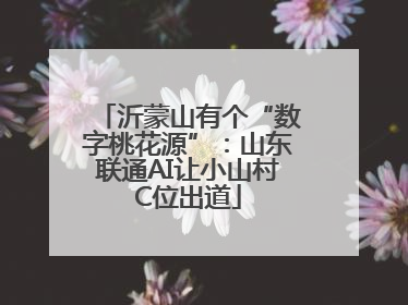 沂蒙山有个“数字桃花源”：山东联通AI让小山村C位出道