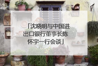沈晓明与中国进出口银行董事长陈怀宇一行会谈