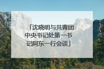 沈晓明与共青团中央书记处第一书记阿东一行会谈