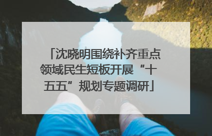 沈晓明围绕补齐重点领域民生短板开展“十五五”规划专题调研