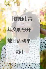沈阳市青年文明号开放日活动举办