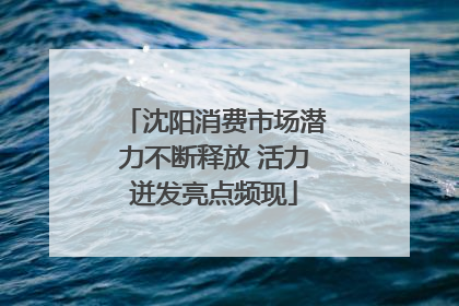 沈阳消费市场潜力不断释放 活力迸发亮点频现