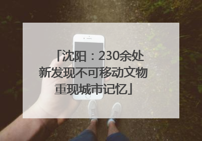沈阳：230余处新发现不可移动文物重现城市记忆