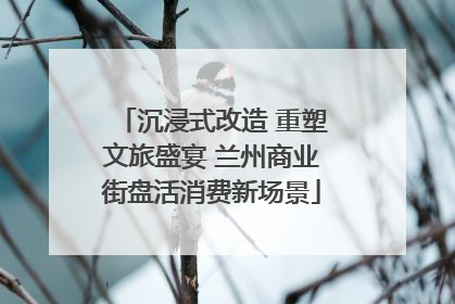 沉浸式改造 重塑文旅盛宴 兰州商业街盘活消费新场景