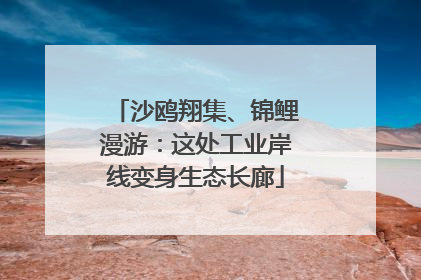 沙鸥翔集、锦鲤漫游：这处工业岸线变身生态长廊