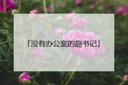 没有办公室的赵书记