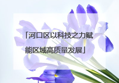 河口区以科技之力赋能区域高质量发展