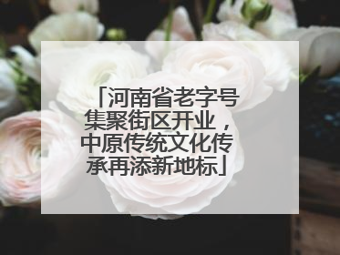 河南省老字号集聚街区开业，中原传统文化传承再添新地标