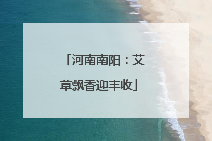 河南南阳：艾草飘香迎丰收