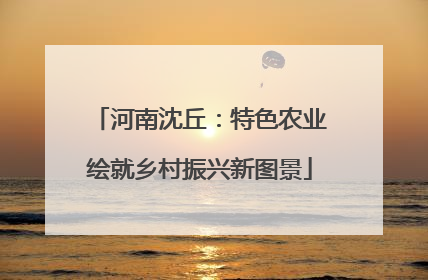 河南沈丘：特色农业绘就乡村振兴新图景